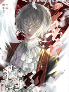 Novel Cover