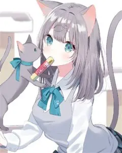 Novel Cover