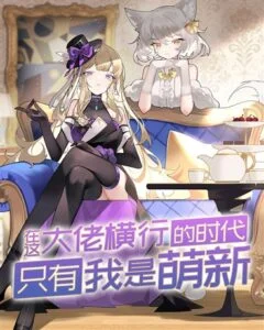 Novel Cover