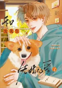 Novel Cover